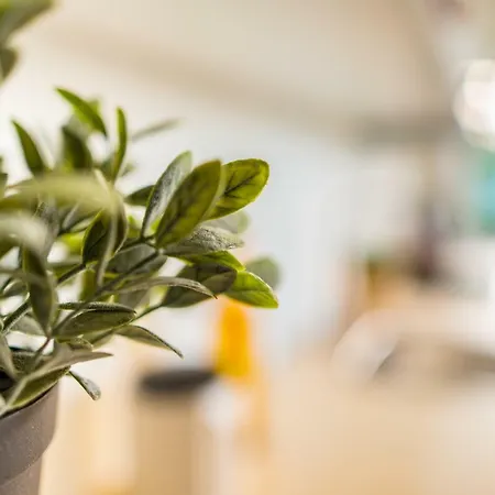 Da'home - Cedofeita Art דירה פורטו