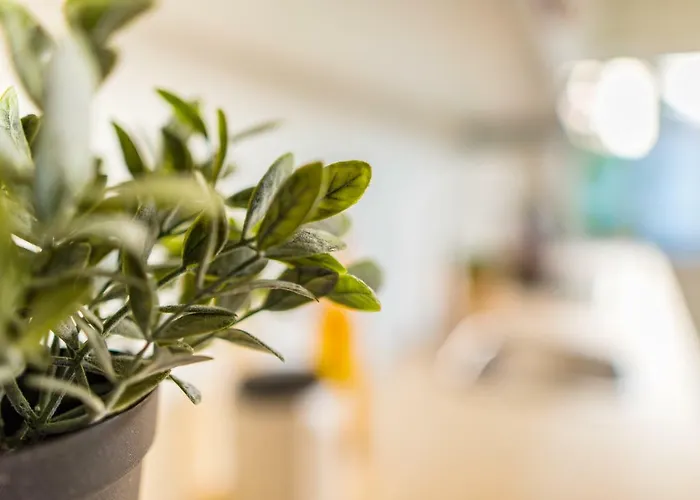 Da'home - Cedofeita Art Διαμέρισμα Πόρτο